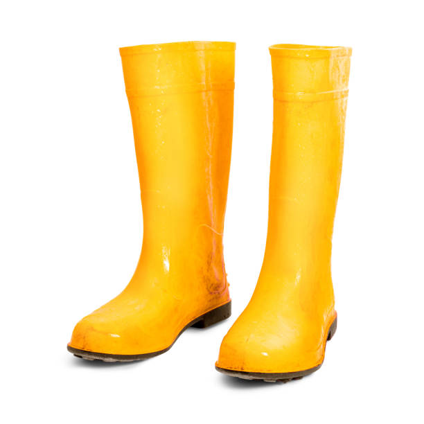 Yellow rubber boots isolated on white background. Wet dirty boots. ( Clipping path )