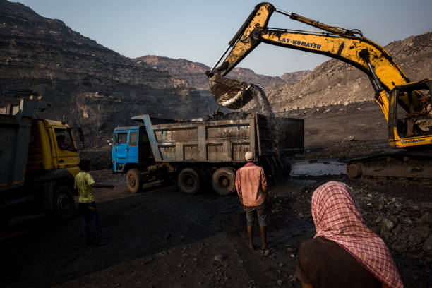 la malédiction du charbon - scavenging photos et images de collection