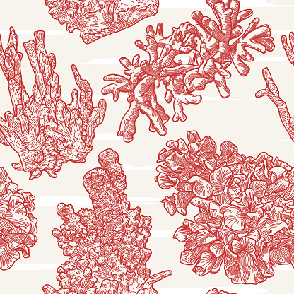 Vintage-style line artwork seamless pattern of sea coral.