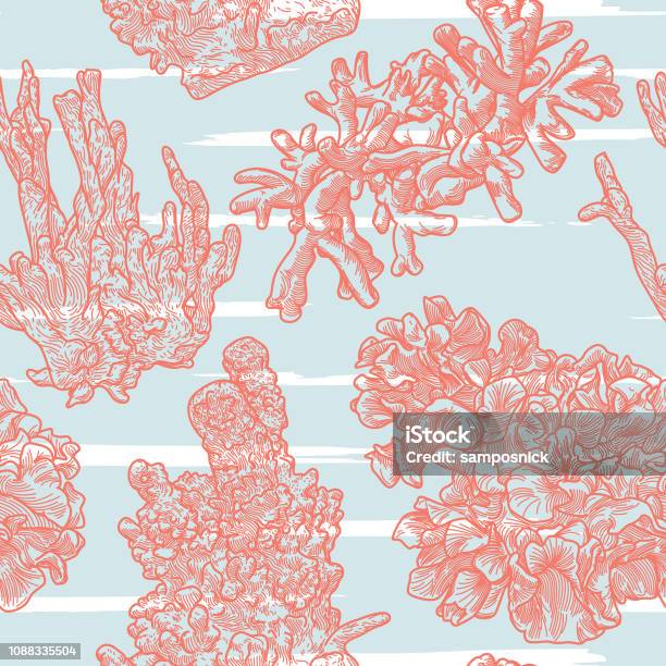 Sea Coral Line Artwork Seamless Pattern Stock Illustration - Download Image Now - Reef, Coral - Cnidarian, Coral Colored