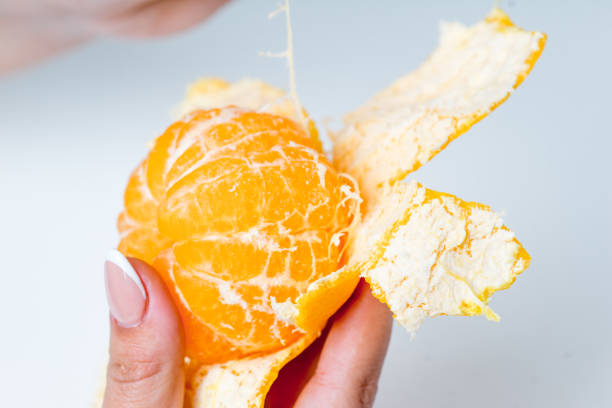 istock Creative layout made of fruits on a white background 1088335506