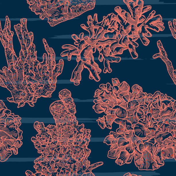 ilustrações de stock, clip art, desenhos animados e ícones de sea coral line artwork seamless pattern - reef