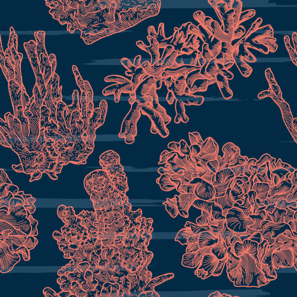 Sea Coral Line Artwork Seamless Pattern vector art illustration