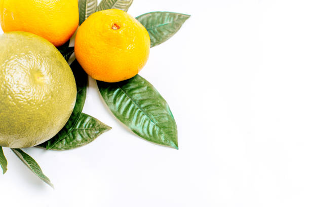 Creative layout made of fruits on a white background