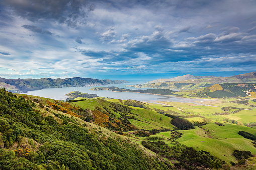 Beautiful green rolling landscape look from Omahu Bush Reserve towards over Head of the Bay, Quail Island towards Lyttelton Harbour South Pacific Ocean Bay. Omahu Bush Reserve, Christchurch - Lyttelton - Whakaraupo, Canterbury, South Island, New Zealand, Oceania