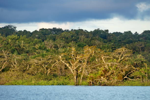 istock Shore of an island 1088363076