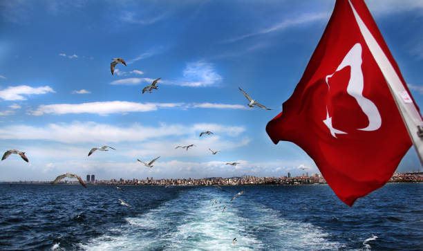 istock Seagulls flying over the sea, Istanbul, Turkey 1088373402