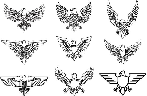 Set of eagle icons isolated on white. Design element for label, emblem, sign. Set of eagle icons isolated on white. Design element for label, emblem, sign. Vector illustration aircraft wing stock illustrations