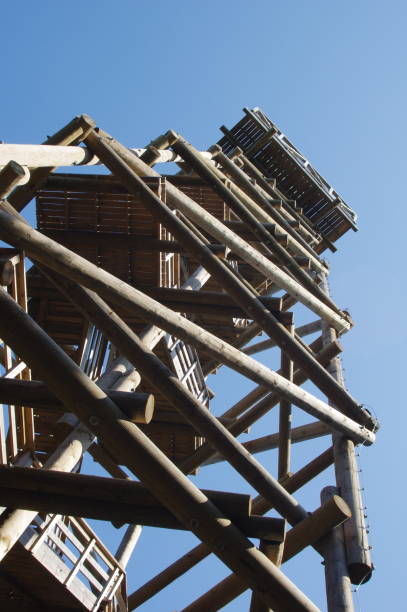 istock Close up view on observation tower construction elements, wooden tower in forest 1088379026