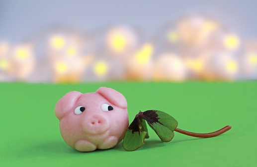 happy new year, marzipan pig and four-leaved clover on green, lights in the back