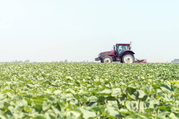 istock Tractor in the green field. Agriculture machine. 1088390758