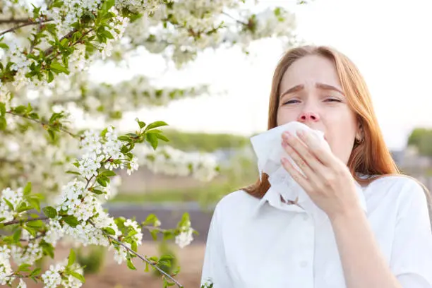Photo of Outdoor shot of displeased Caucasian woman feels allergy, holds white tissuue, stands near tree with blossom, feels unwell, sneezes all time. People and health problems. Spring time. Blooming