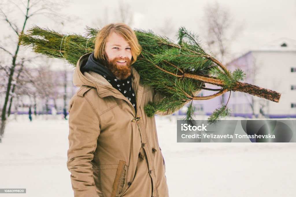 Le thème est le symbole des fêtes de Noël et du nouvel an. Un beau jeune homme de race blanche avec une barbe porte un sapin de Noël sur son épaule. Achat et livraison de conifère le soir de Noël - Photo de Barbe libre de droits