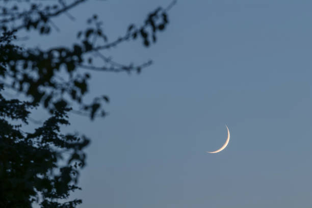 istock Crescent moon on the night sky. Crescent moon tree leaves 1088400124
