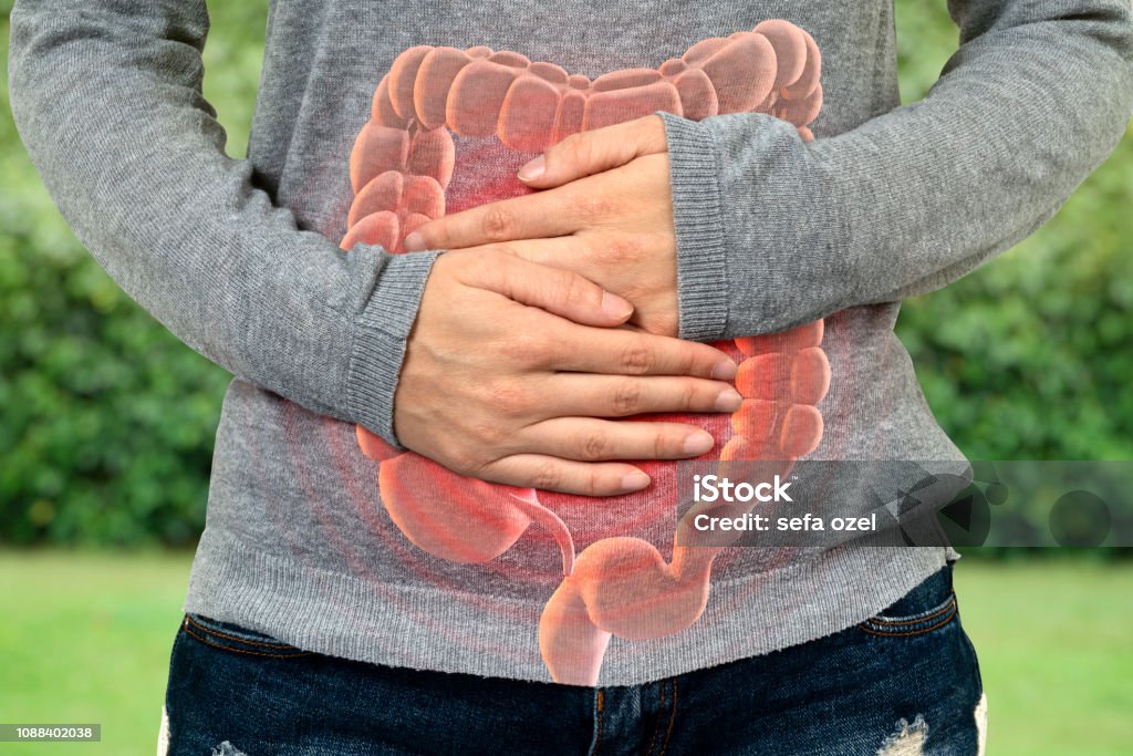 Large Intestine Problem Large Intestine, Problem, Intestine, Stomachache, Irritable Bowel Syndrome Digestive System Stock Photo