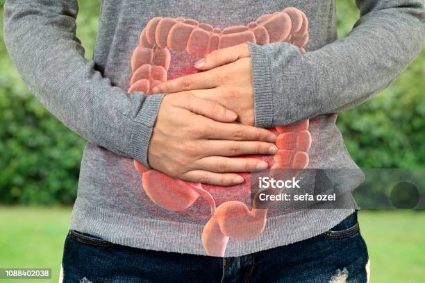Large Intestine Problem Stock Photo - Download Image Now - Intestine, Digestive System, Abdomen