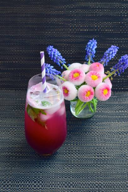 istock Red Grape Juice with Mint and Soda 1088405718