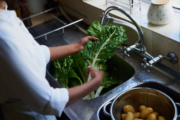istock Preventing food borne illnesses 1088405998