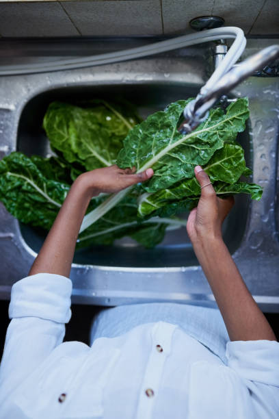 istock Pesticide free spinach coming right up 1088406094