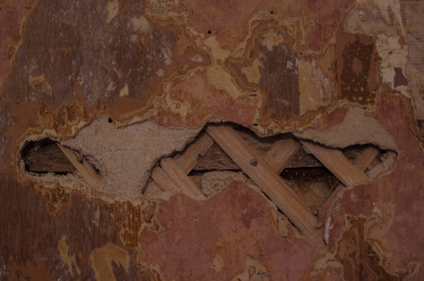 istock Texture of the wall for background 1088409786