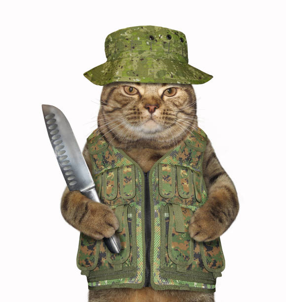 istock Cat ranger with a big knife 1088411280