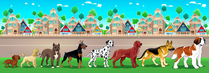 Collection of purebred dogs aligned on the town view. Vector cartoon illustration