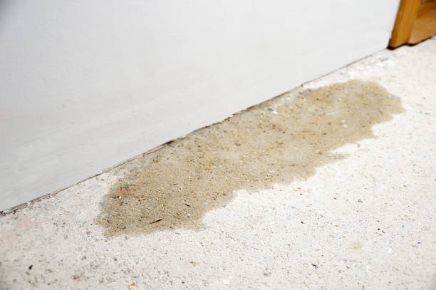 istock humidities in the unfinished floor 1088419444