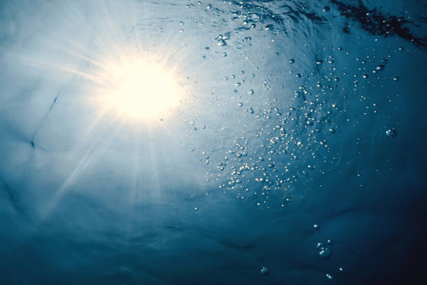 istock Underwater view of the water surface. Underwater background. 1088419524