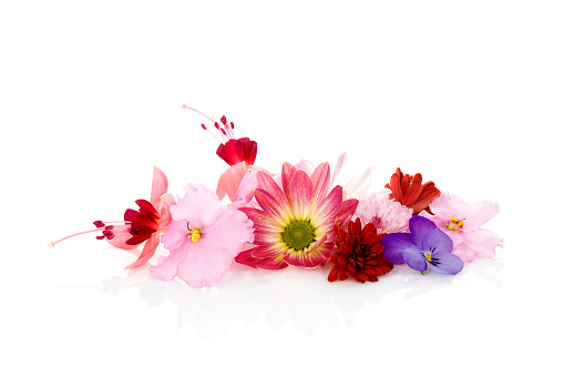 Edible flowers isolated on white background.