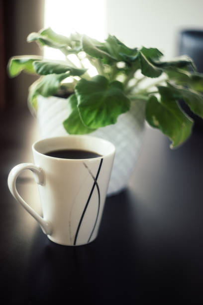 istock A Cup of Coffee with Plant on Black Background 1088425336