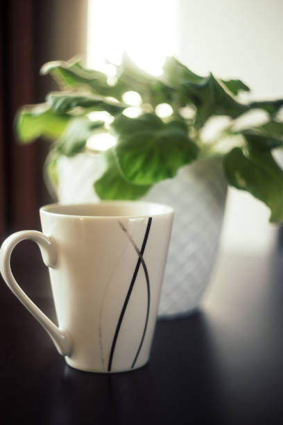 istock A Cup of Coffee with Plant on Black Background 1088426702