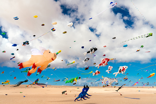 Kites flying at the International Kite Festival in Fuerteventura, Canary Islands, Corralejo, Spain, Kite