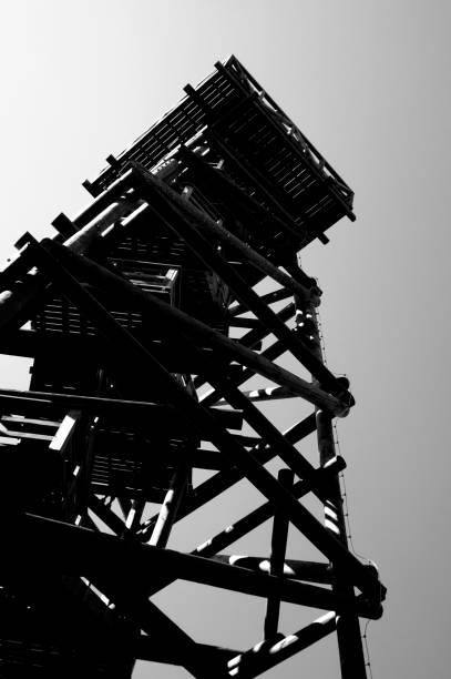 istock Close up view on observation tower construction elements, wooden tower in forest 1088433090