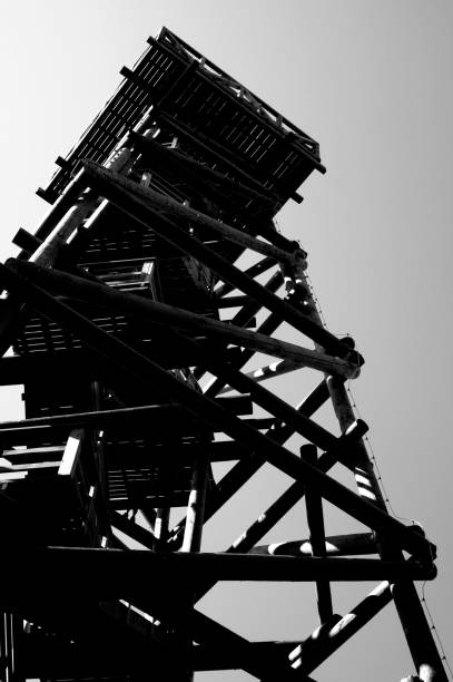 istock Close up view on observation tower construction elements, wooden tower in forest 1088434388