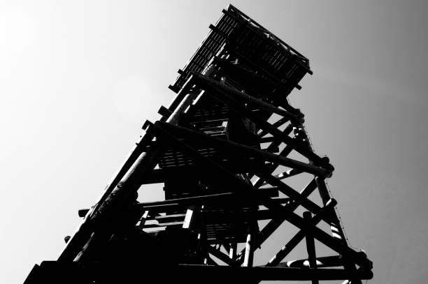 istock Close up view on observation tower construction elements, wooden tower in forest 1088435048
