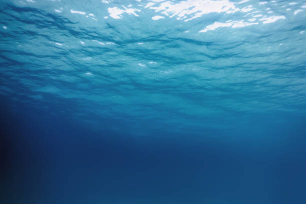 istock Underwater view of the sea surface 1088437452