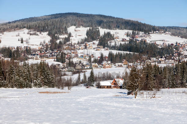 istock Morning in Koscielisko 1088438758