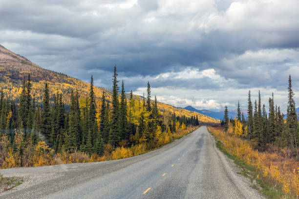 istock Empty road with pine trees and reddish vegetation in a cloud day in Alaska 1088441070
