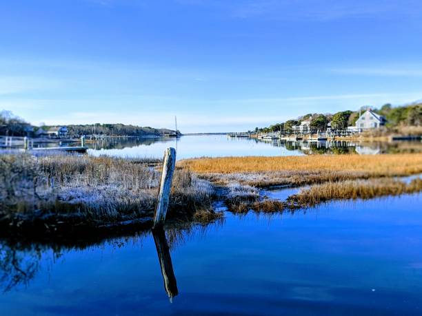 cape cod w zimowy dzień. - cape cod national seashore zdjęcia i obrazy z banku zdjęć