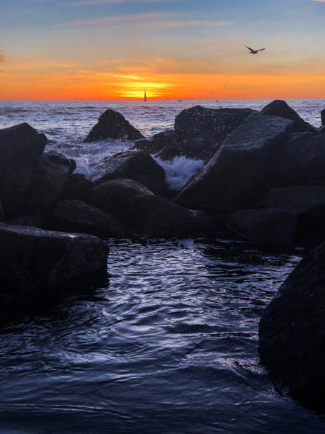 istock Sunset over Pacific Ocean in Venice, CA 1088469616