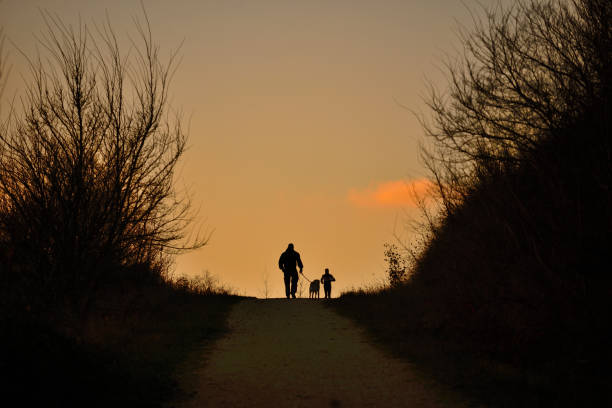 istock walking at sunset in the countryside 1088488856