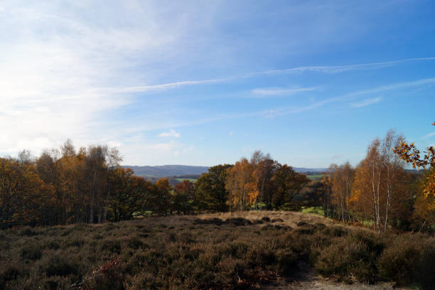 istock Autumn countryside views 1088507344