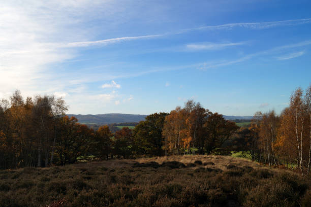 istock Autumn countryside views 1088507684