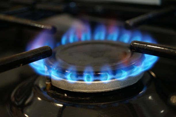 istock Gas cooker ring burning blue 1088507986