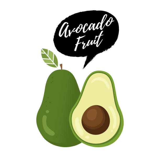 ilustraciones, imágenes clip art, dibujos animados e iconos de stock de ilustración de vector de fruta de aguacate - avocado cross section vegetable seed