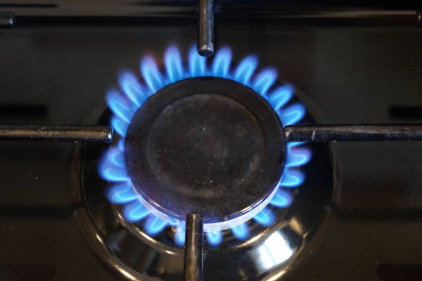 istock Gas cooker ring burning blue 1088509290