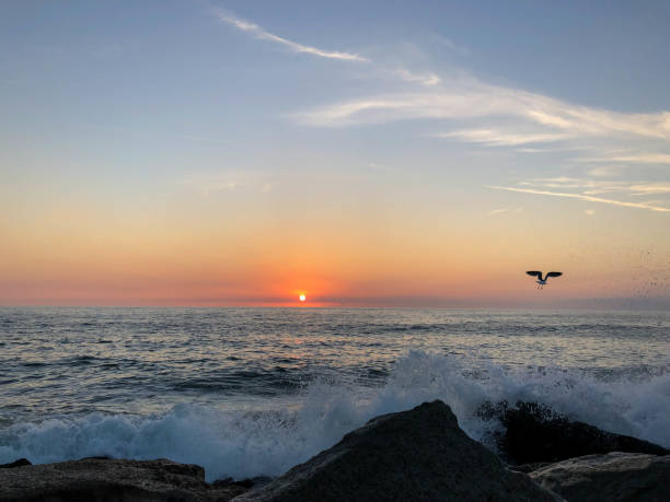 istock Waves crash on the rocks in Venice Beach, CA at sunset 1088511006