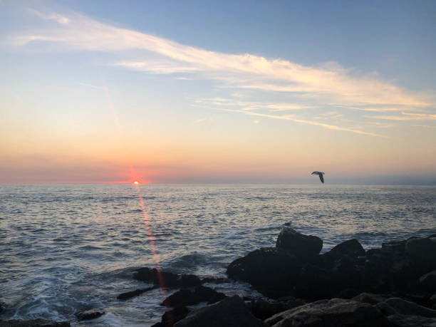 istock Waves crash on the rocks in Venice Beach, CA at sunset 1088511034
