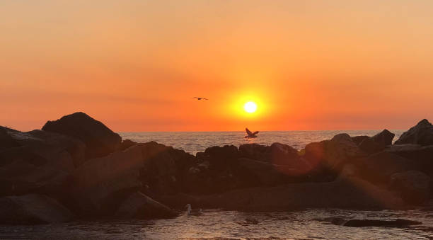 istock Waves crash on the rocks in Venice Beach, CA at sunset 1088512300