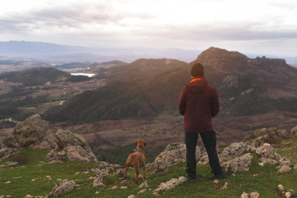 istock Adventures on the  friends hiking with dog 1088514072
